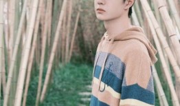 王一博肖战圈内爆料cp,圈内爆料CP背后的真实故事