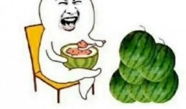 吃瓜为娱乐
