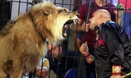 兽性难驯在线观看,激情燃烧的禁忌之恋在线观看攻略