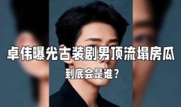 男星塌房爆料视频播放网站,真相与争议并存