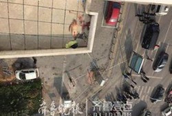 断腿青雉爆料视频大全,揭秘幕后真相与惊人内幕