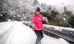 爆料下雪了视频,银装素裹美不胜收”
