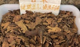 白术背景故事爆料最新,从神秘仙草到传奇医师的蜕变之路