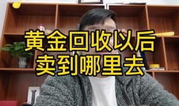 忠哥带货爆料视频大全集,视频大全集深度解析