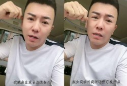 利哥爆料林先生退网视频,利哥爆料背后的故事与原因