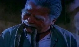 电影蛇少女在线观看,神秘传说，惊悚揭秘