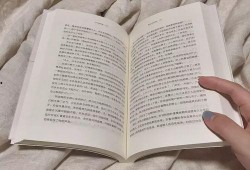 桃园日记最新爆料文案,揭秘幕后真相，独家解读事件始末