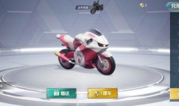 最新爆料摩托车皮肤,揭秘最新摩托车皮肤设计背后的创意火花