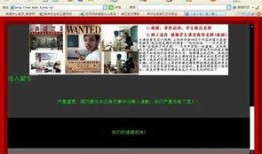 震惊爆料视频素材,背后真相令人咋舌
