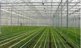 热点大棚爆料怎么做视频,视频制作攻略全解析