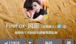 风哥娱乐吃瓜,揭秘娱乐圈最新吃瓜事件，带你领略明星幕后故事