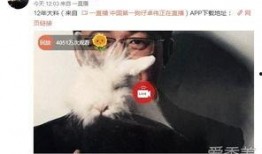 卓伟爆料模特视频大全,模特私密视频大揭秘