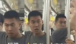地铁判官被爆料视频,揭秘地铁安全与秩序的守护者
