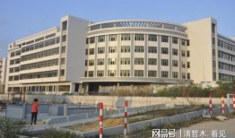 汕尾龙溪小学最新爆料,揭秘校园生活新篇章