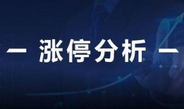 财经新闻最新爆料,重磅！财经新闻最新爆料揭示行业变革新动向