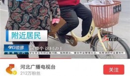 河北电台爆料视频播放