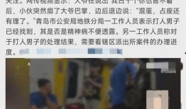地铁判官被爆料视频,揭秘地铁安全与秩序的守护者