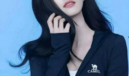 明星白鹿爆料视频大全,揭秘明星幕后故事