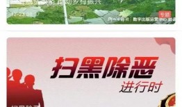 今日德州爆料新闻视频,视频揭露惊人真相！