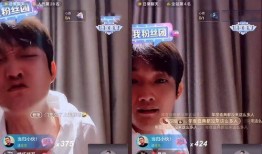 利哥爆料林先生退网视频,利哥爆料背后的故事与原因