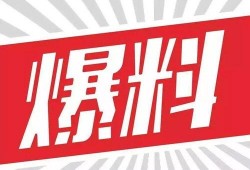 震惊爆料视频素材,背后真相令人咋舌