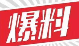 震惊爆料视频素材,背后真相令人咋舌