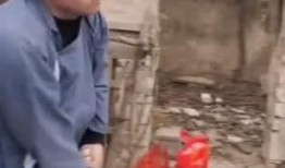 民间搞怪爆料事件视频,搞笑爆料视频背后的惊人真相