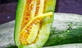 定西网红吃瓜,揭秘当地美食背后的故事