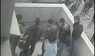 断腿青雉爆料视频大全,揭秘幕后真相与惊人内幕