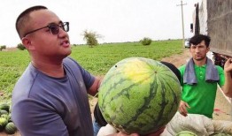 每日免费吃瓜,揭秘娱乐圈那些不为人知的幕后故事