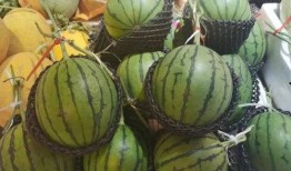 1元吃瓜网红,网红吃瓜界的传奇崛起