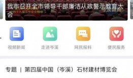 最新模块爆料新闻视频,视频内容深度解析
