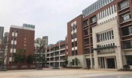 汕尾龙溪小学最新爆料,揭秘校园生活新篇章