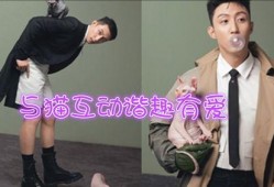 男装揭秘爆料视频大全集,视频大全集深度解析