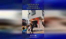 真实伤害爆料视频,视频爆料揭示惊人内幕