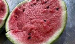 1元吃瓜网红,网红吃瓜界的传奇崛起