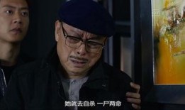 肓侠大律师在线观看,正义之光，在线守护