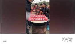 农村爆料结局视频播放大全,揭秘乡村生活真相