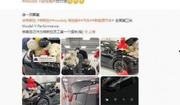 南油拿货爆料视频最新版,揭秘最新版视频中的热门商品与价格行情