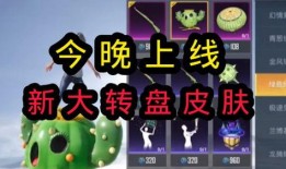 新大转盘皮肤最新爆料,揭秘神秘爆料背后的华丽蜕变