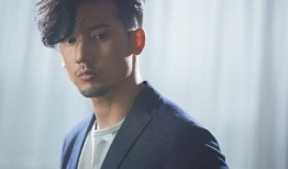 港媒爆料关智斌视频,事件真相揭秘