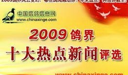 新闻热点爆料中国,引领全球创新浪潮