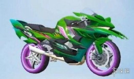 最新爆料摩托车皮肤,揭秘最新摩托车皮肤设计背后的创意火花