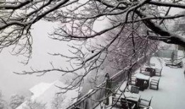 爆料下雪了视频,银装素裹美不胜收”