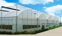 热点大棚爆料怎么做视频,视频制作攻略全解析