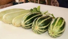 莱芜吃瓜莱芜网红,吃瓜群众眼中的莱芜风采